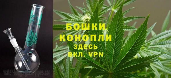 мяу мяу мука Бородино