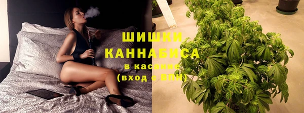 spice Бабаево