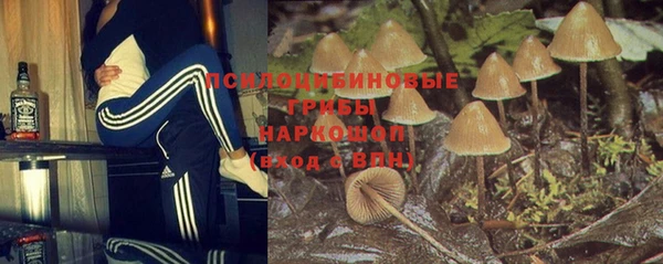 мяу мяу мука Бородино