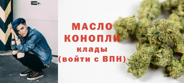 мяу мяу мука Бородино