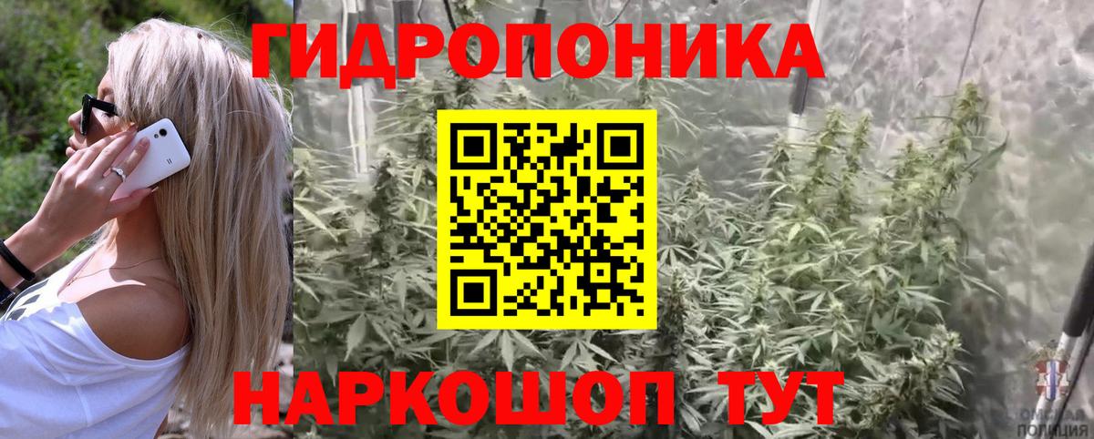 Шишки марихуана SATIVA & INDICA  Бошки Шишки планчик  Вход с VPN  Вятские Поляны  Каннабис Bruce Banner  Шишки марихуана Bruce Banner 